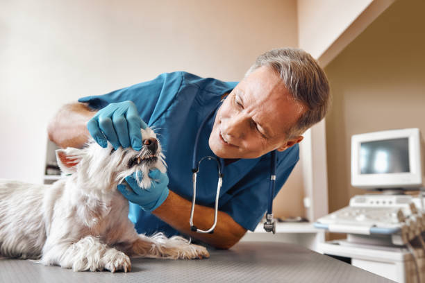 Best Emergency Tooth Extraction in Fairview, NC